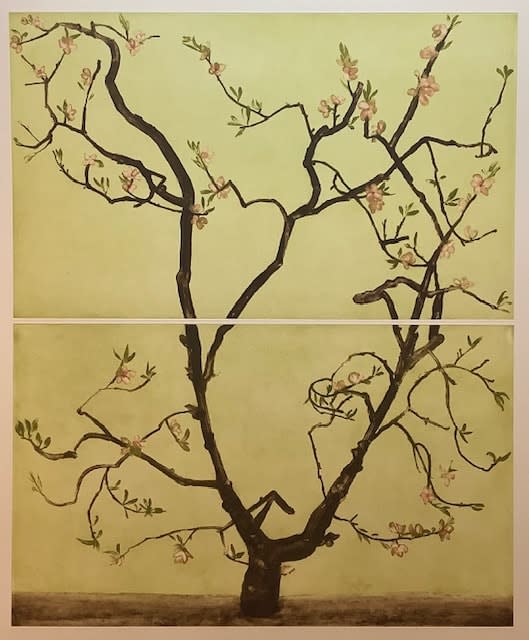 Cliona Doyle, Prunus Persica, 2024
