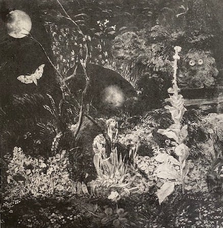 Melanie Miller, Night Moth, 2022