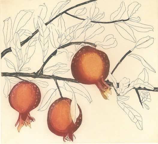 Cliona Doyle, Pomegranates, 2018