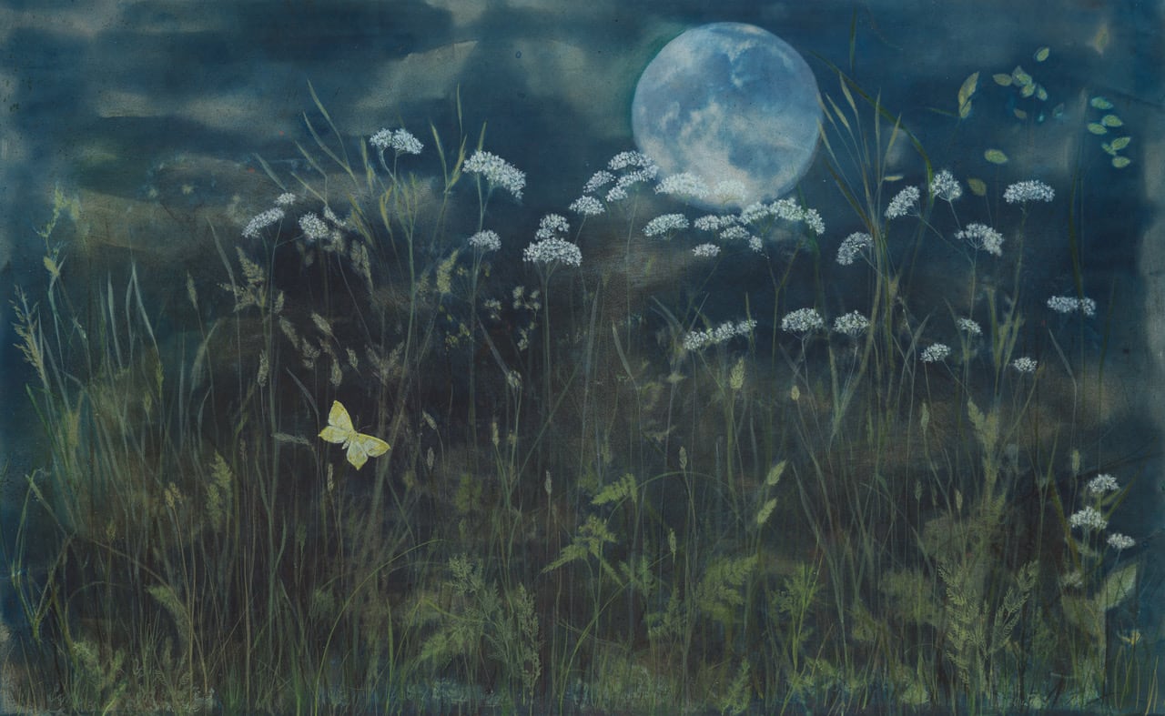 Melanie Miller, Lunar Meadow, 2022