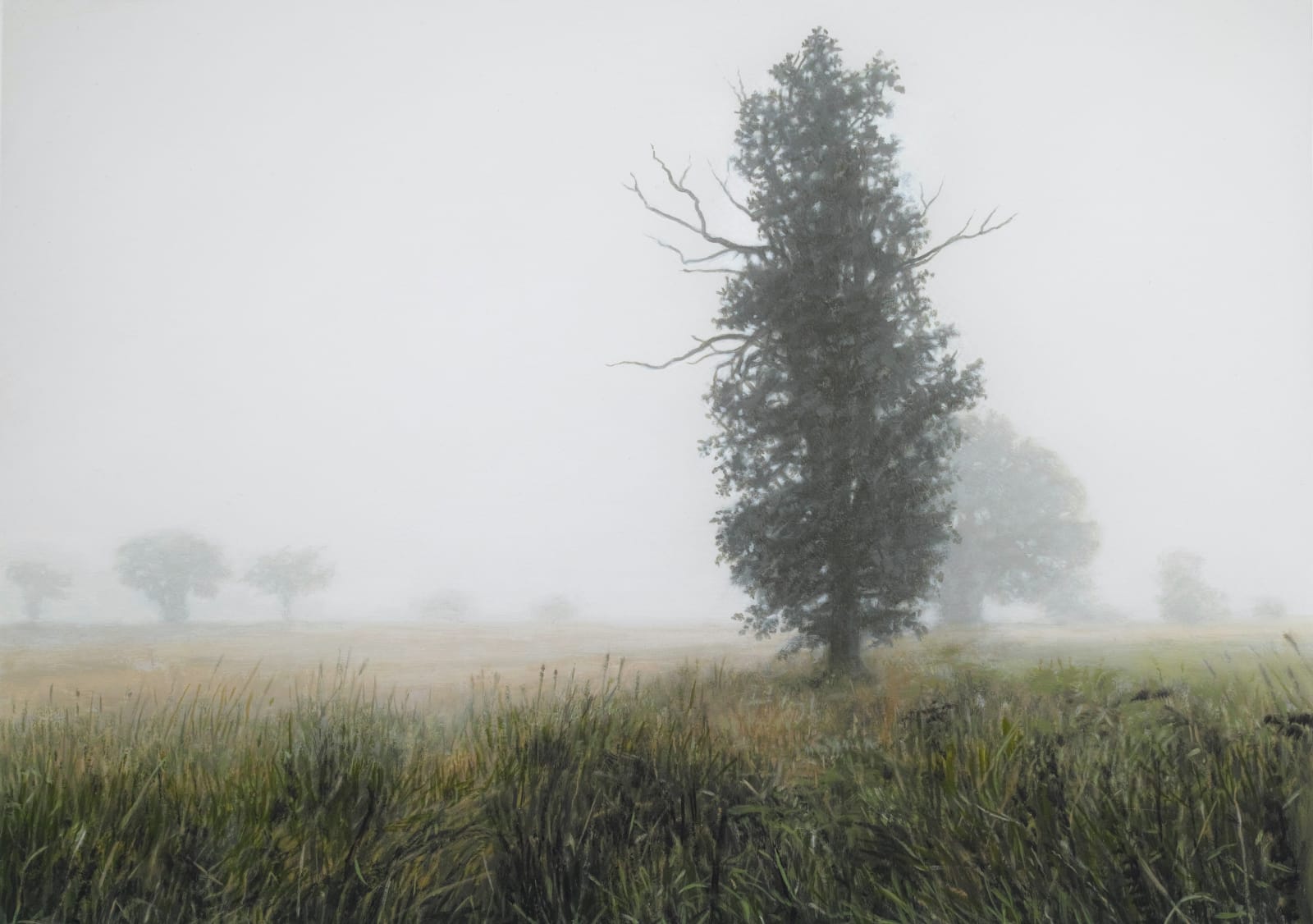 Philip Braham, Trees in Fog, 2021