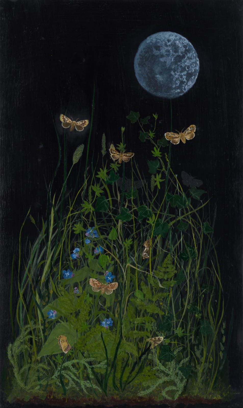 Melanie Miller, Meadow Moon, 2023