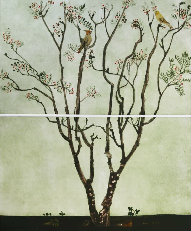 Cliona Doyle, Rowan, 2025