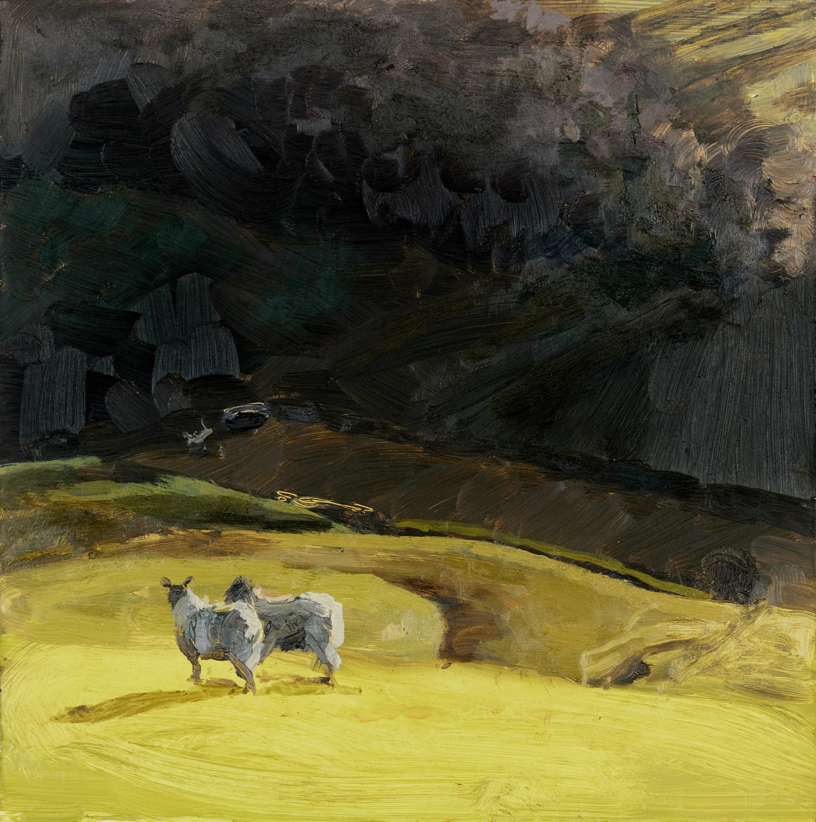 Henrietta Hoyer Millar, Morning Across The Valley II, 2023