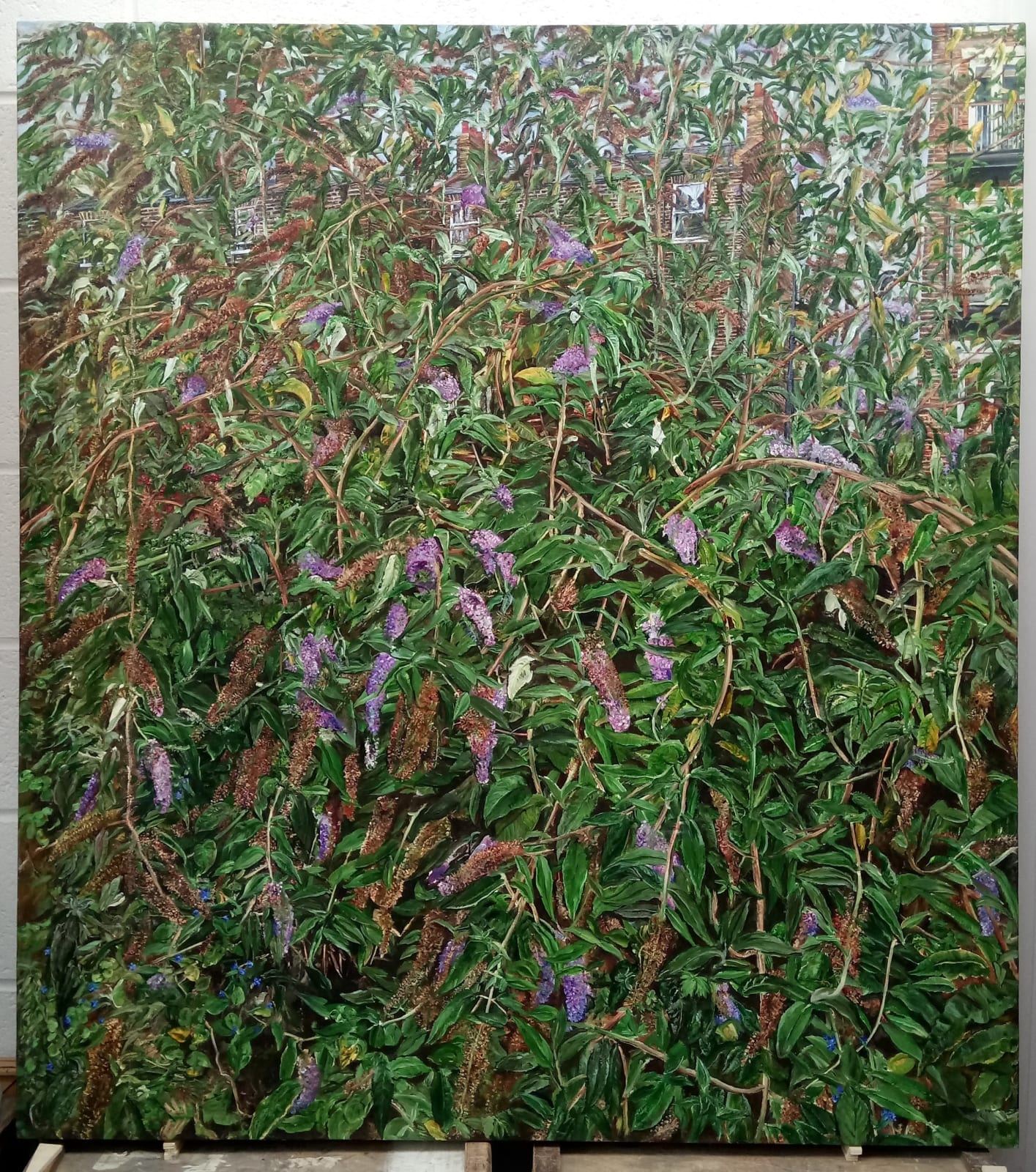 Geoff Routh, Buddleia, 2022