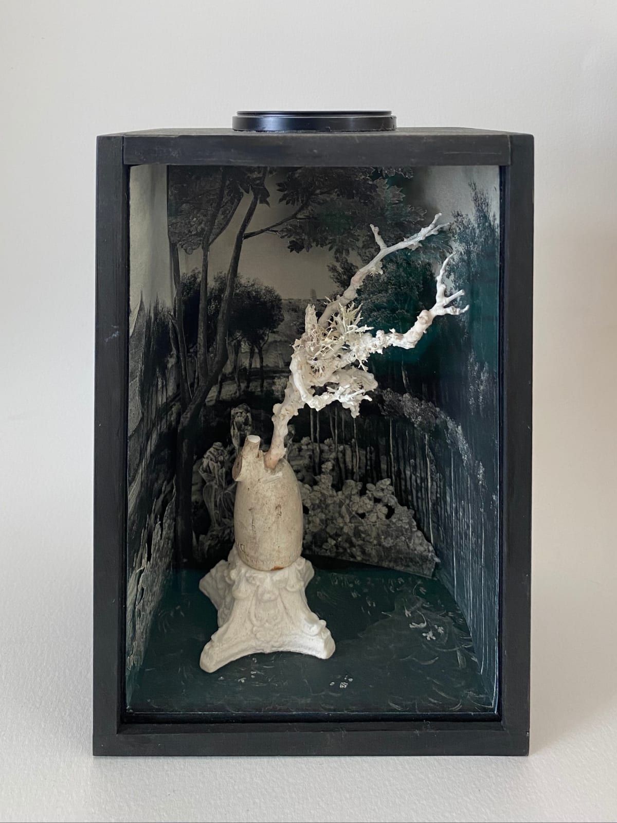 Melanie Miller, Ghost Forest, 2023