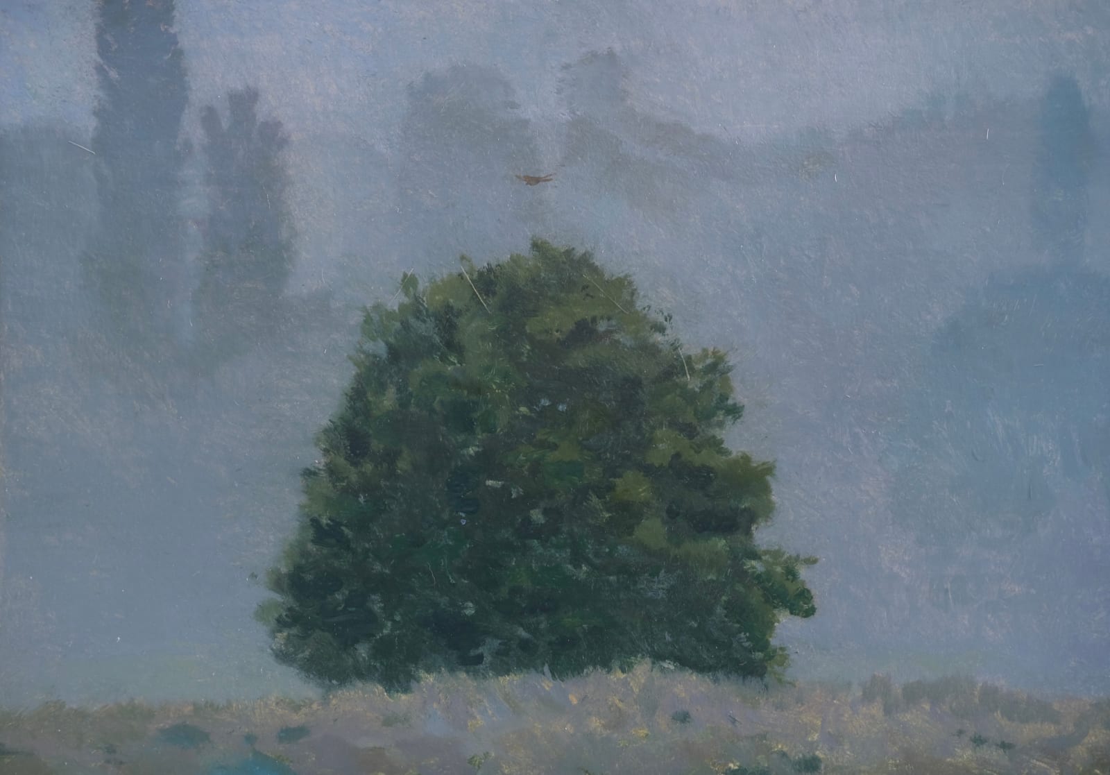 Entwisle, Mark, Nightingale, 2022