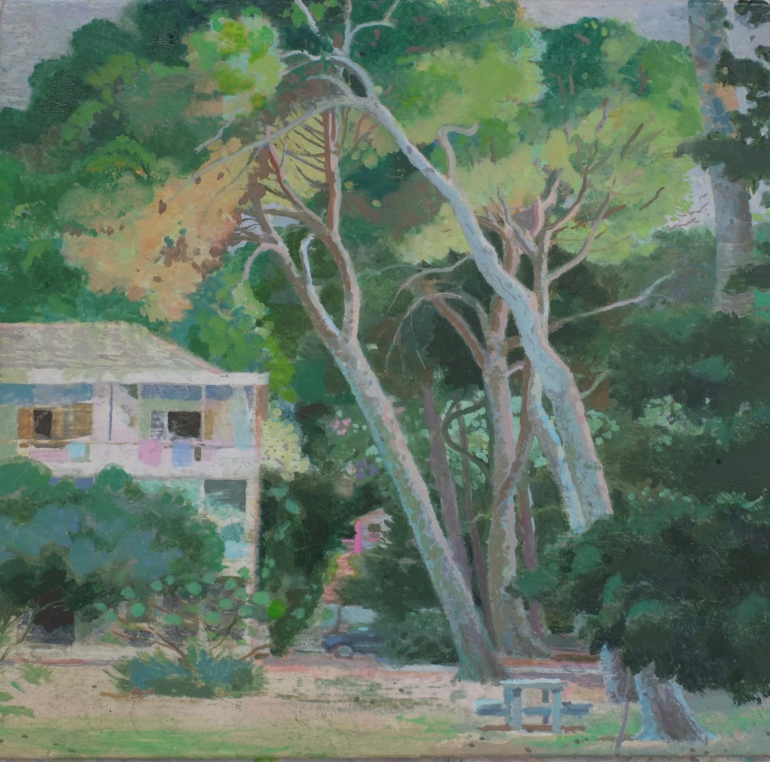 Mark Entwisle, Umbrella Trees, 2019