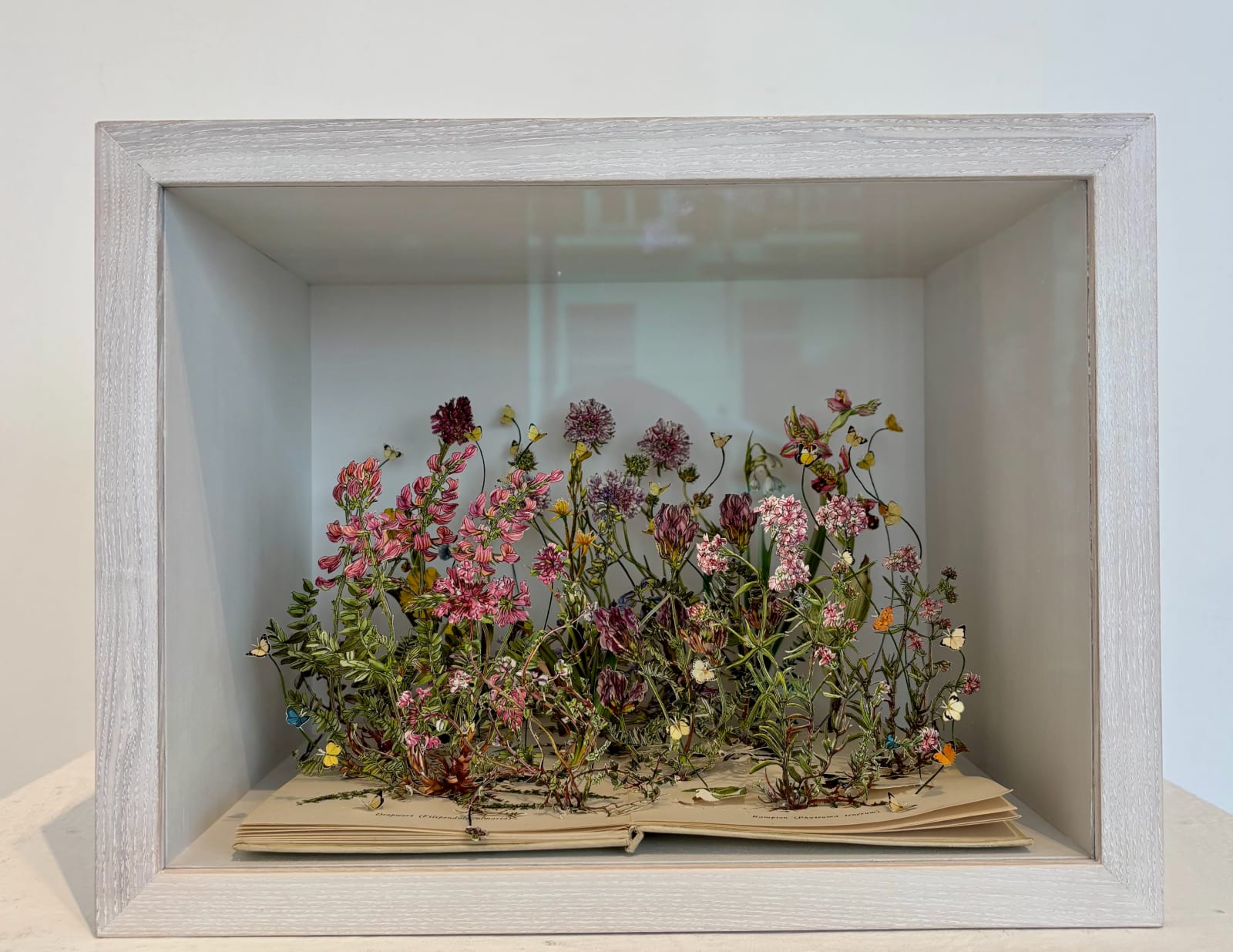Su Blackwell, Wild Flowers of the Chalk II, 2025