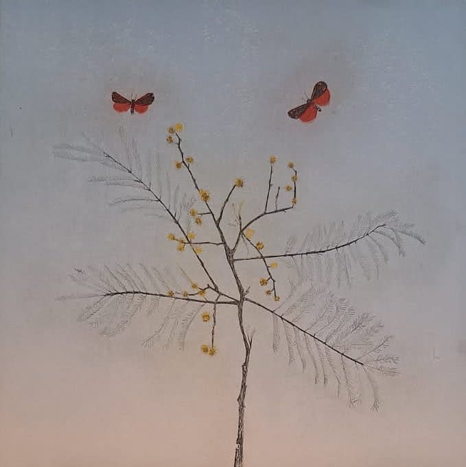 Cliona Doyle, Mimosa , 2024