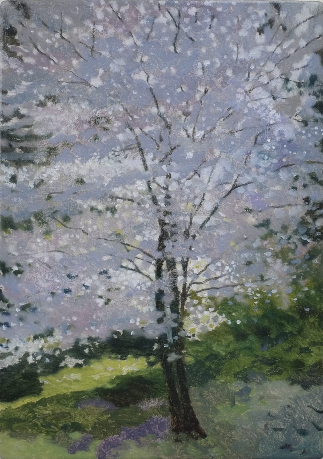 Mark Entwisle, Hawthorn II, 2021