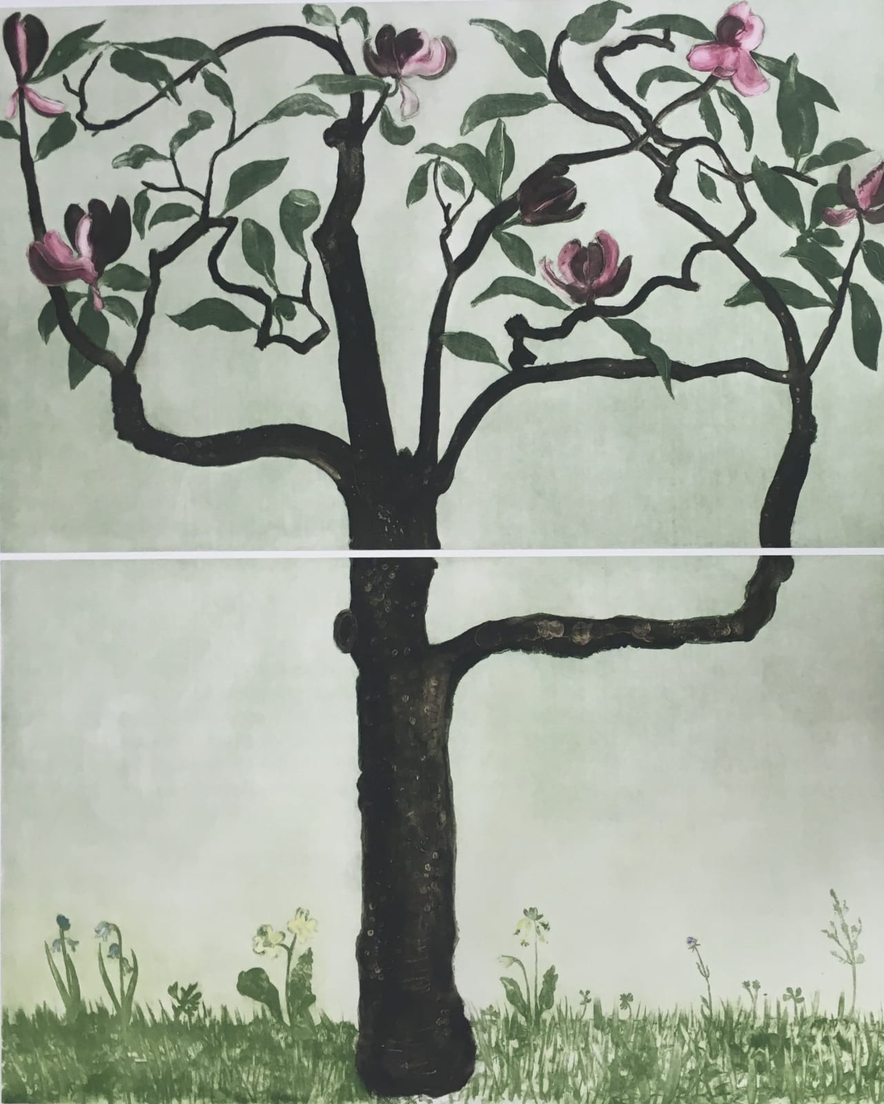 Cliona Doyle, Magnolia Soulangeana, 2018