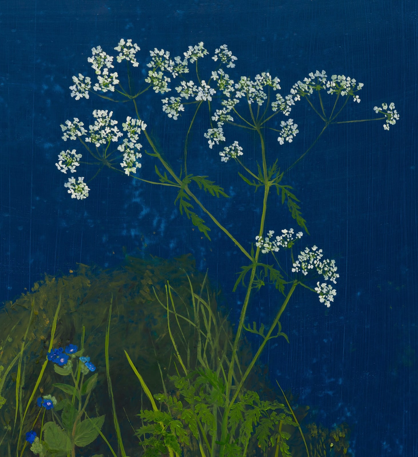 Melanie Miller, Cowparsley, 2023