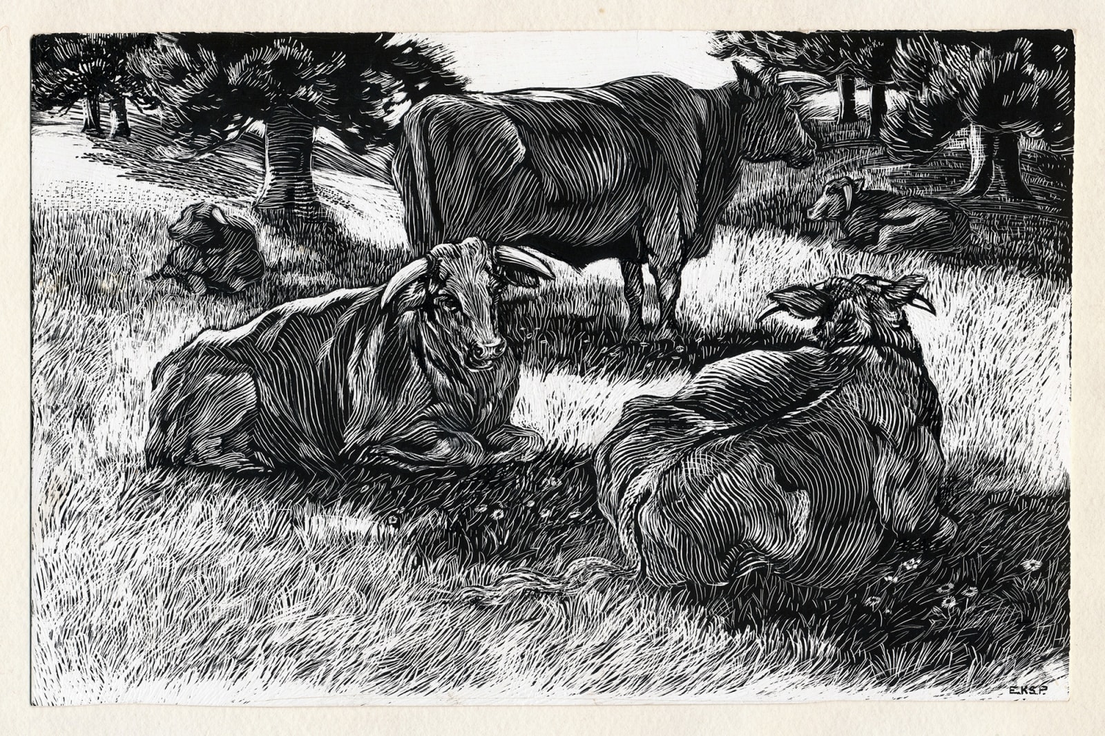 Elsie Kathleen Simpson Powell, Devonshire Cattle, c1960
