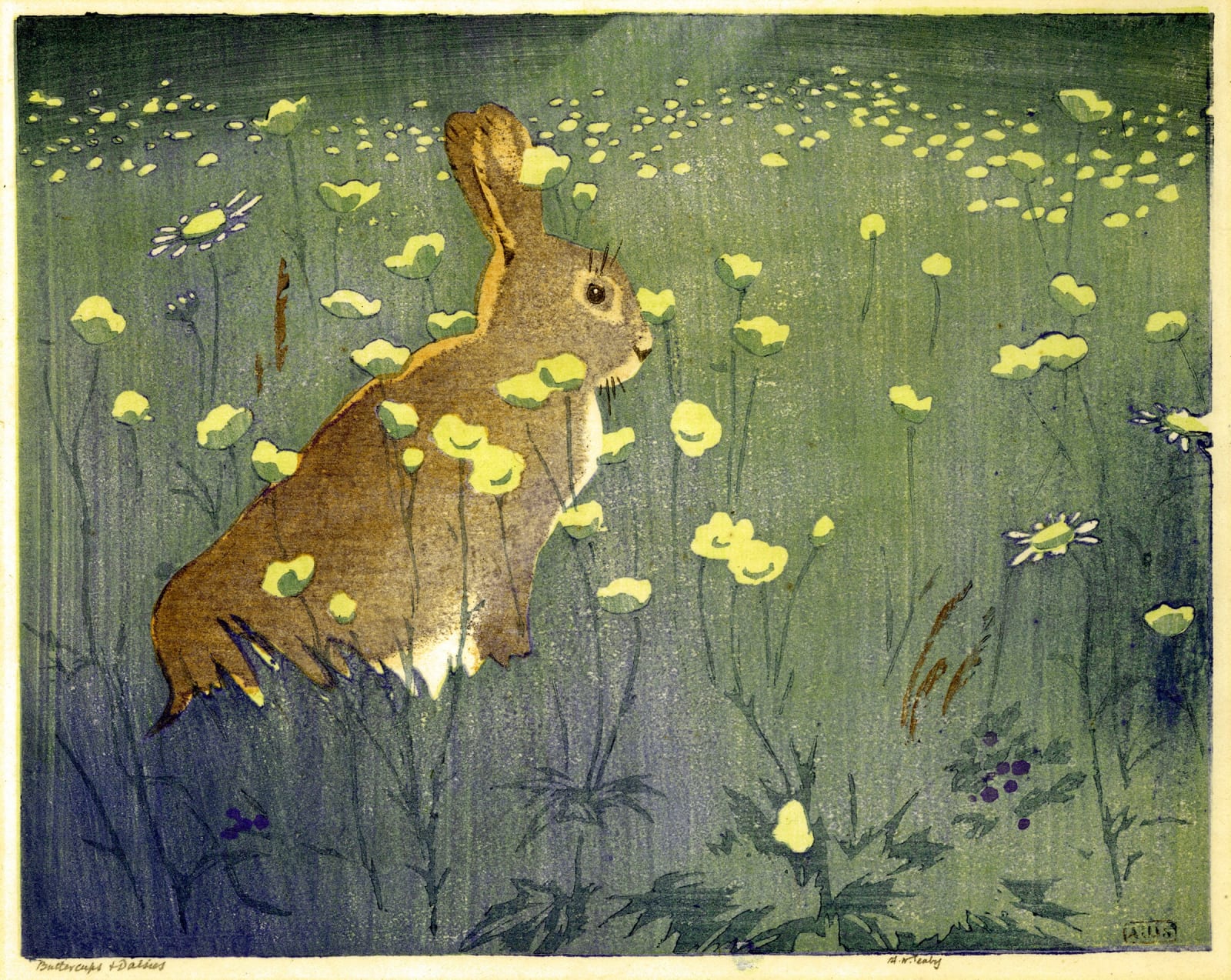 Allen William Seaby, Buttercups and Daisies, C1920-1927