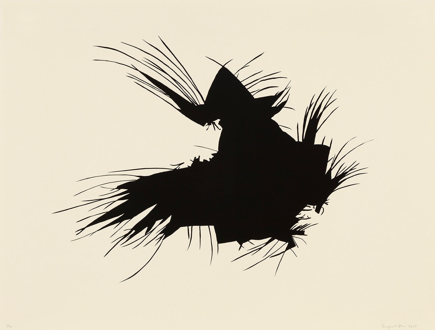 Morgan O'Hara, Il Gallo in Michoacán, Mexico, 2015