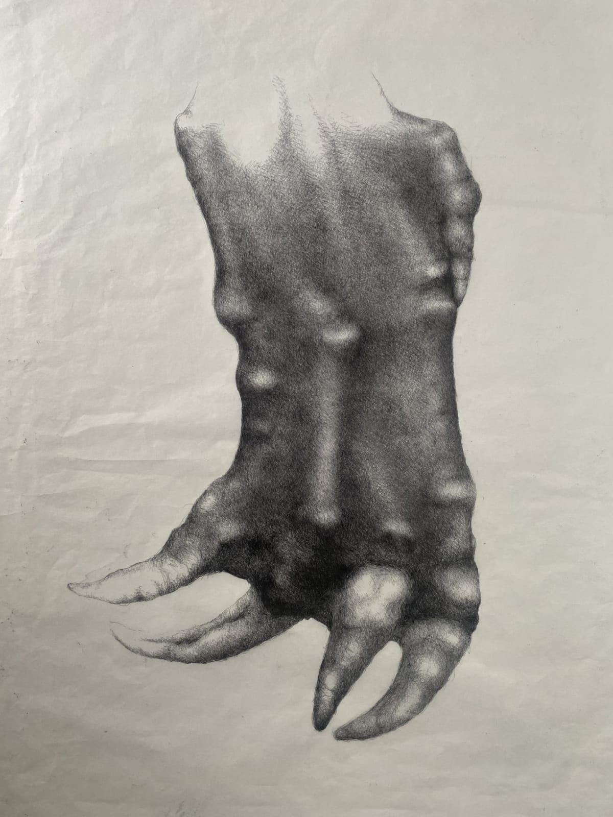 Abigail Norris, Omega's Return 1, 2024