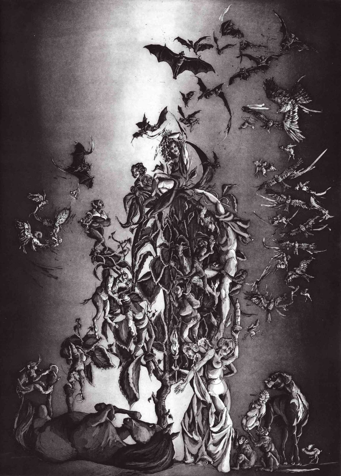 Maite Cascon, Coleus Insomnia, 2023