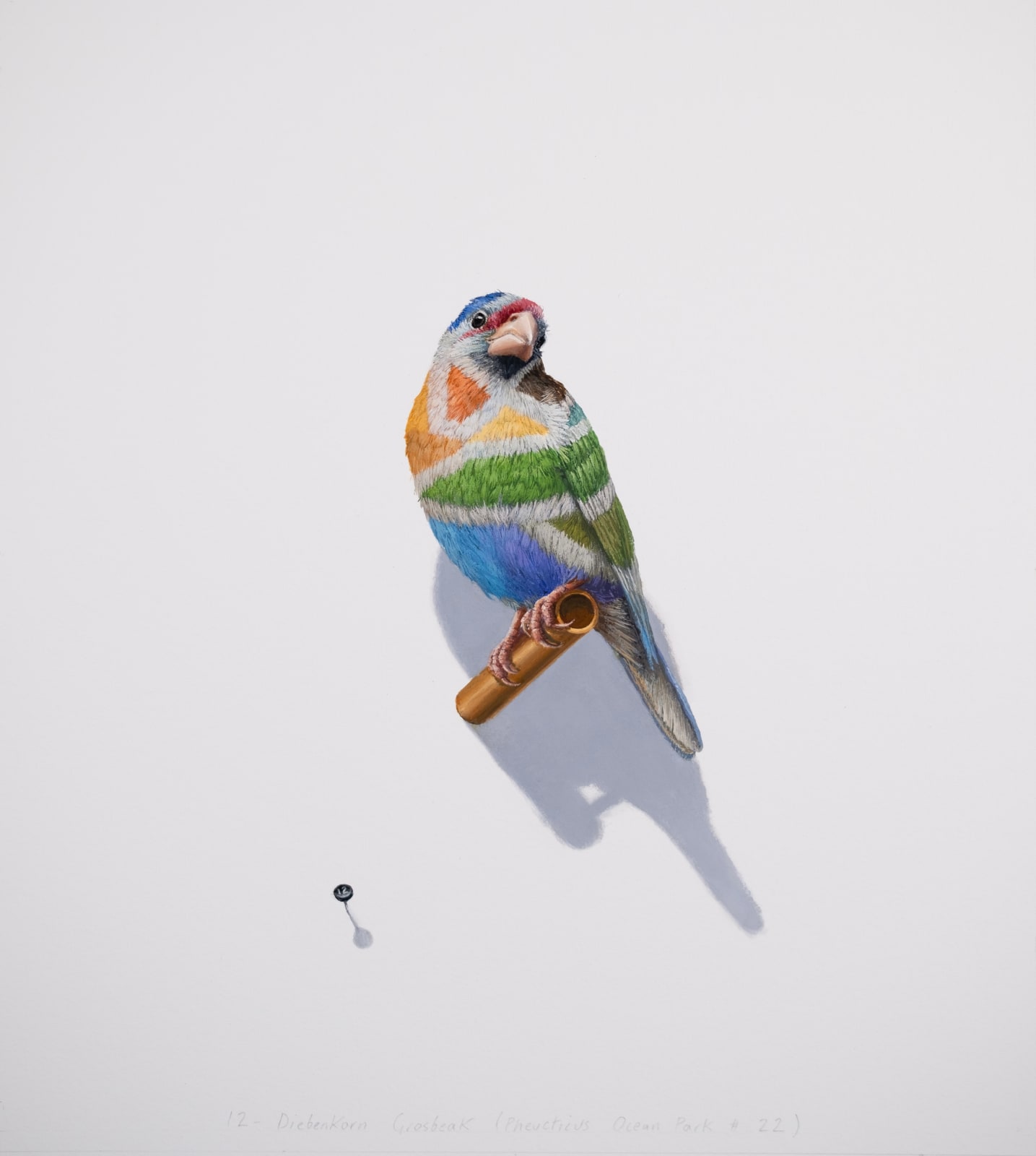 Clive Smith, Diebenkorn Grosbeak (Pheuticus Ocean Park #9), 2024