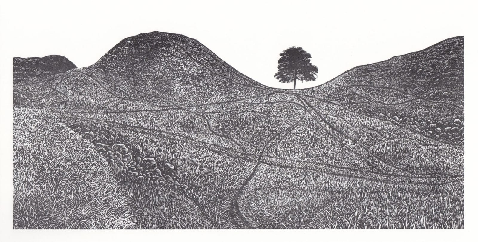 David Robertson ARE, Sycamore Gap