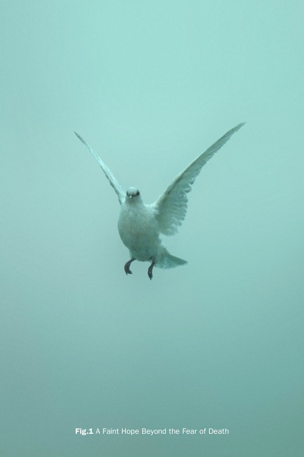 Damien Hirst, Fig.1 A Faint Hope Beyond the Fear of Death , 2005