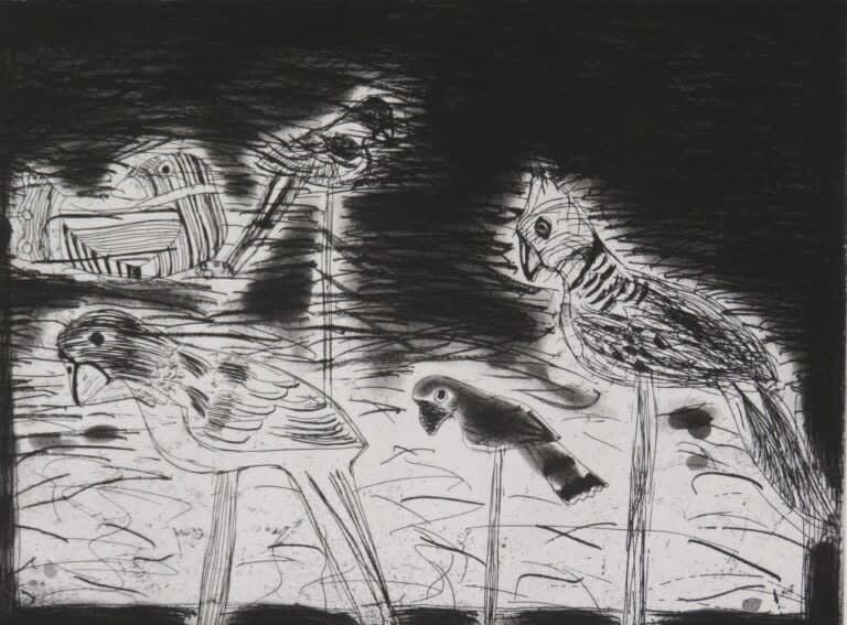 Elizabeth Blackadder, Parrots, 1987