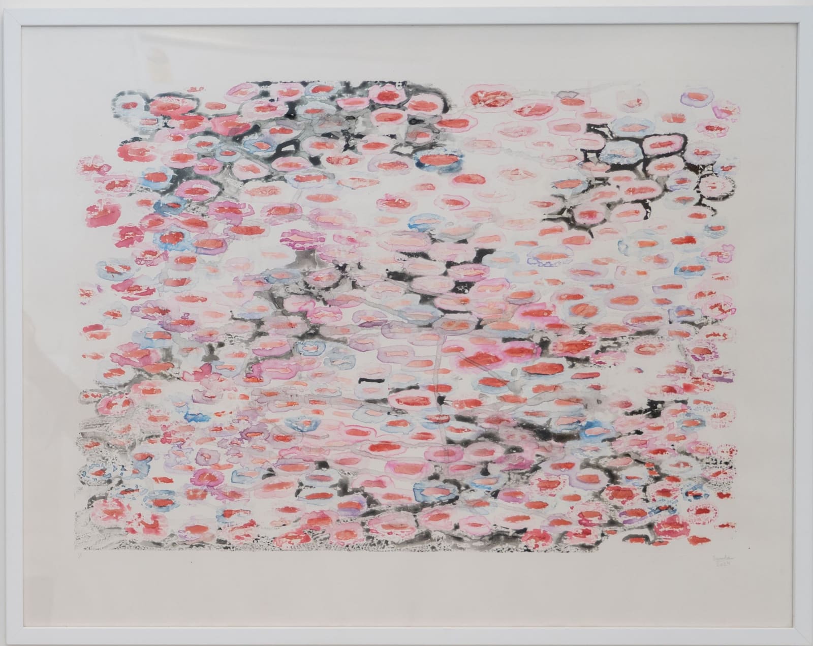 Saruha Kilaru, Cells, 2024