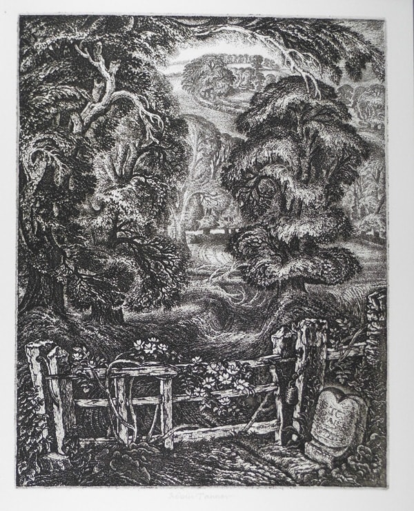 Robin Tanner, The Old Road: Elegy for the English Elm I, [Robin Garton, 1977]