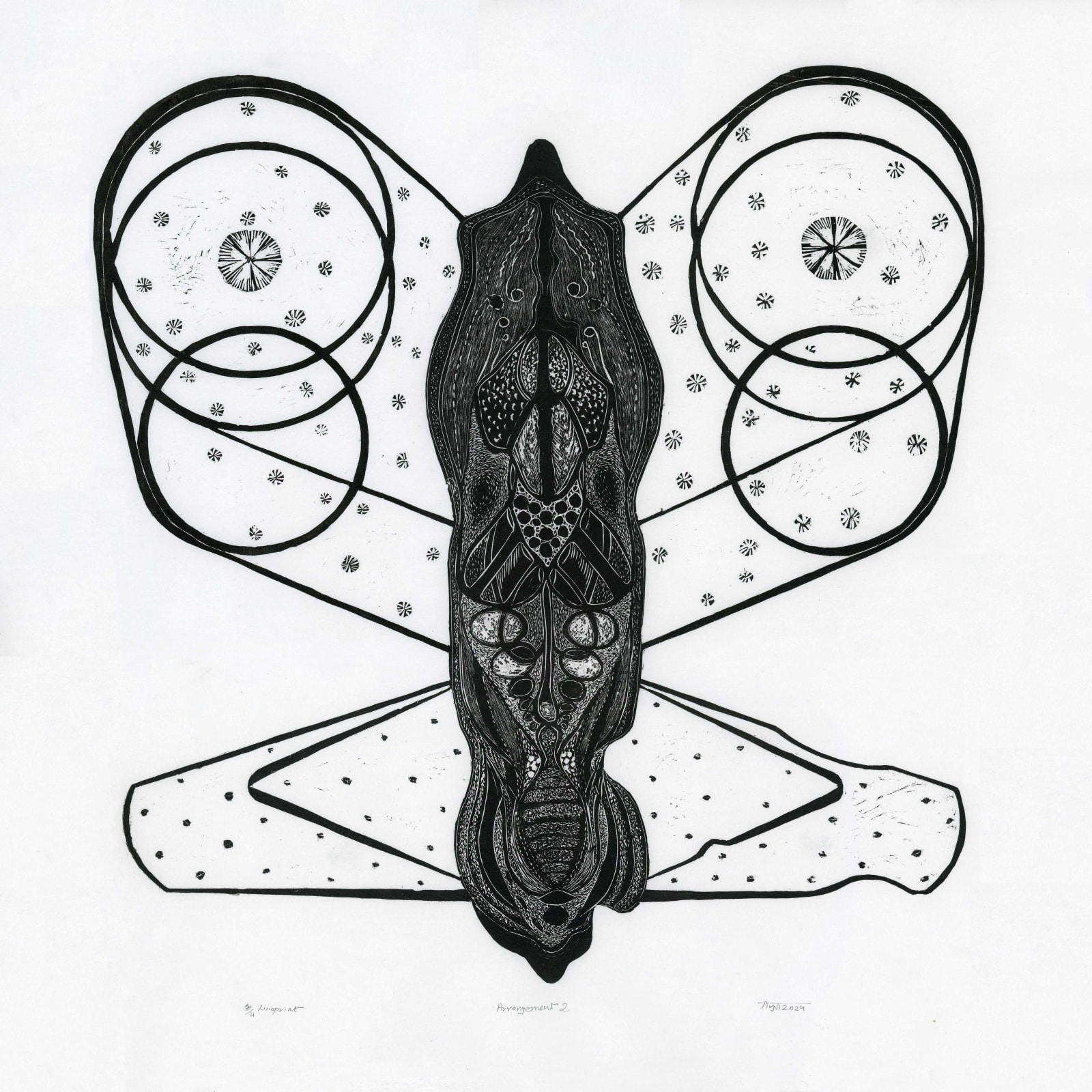 Avni Bansal, Arrangement 2, 2024