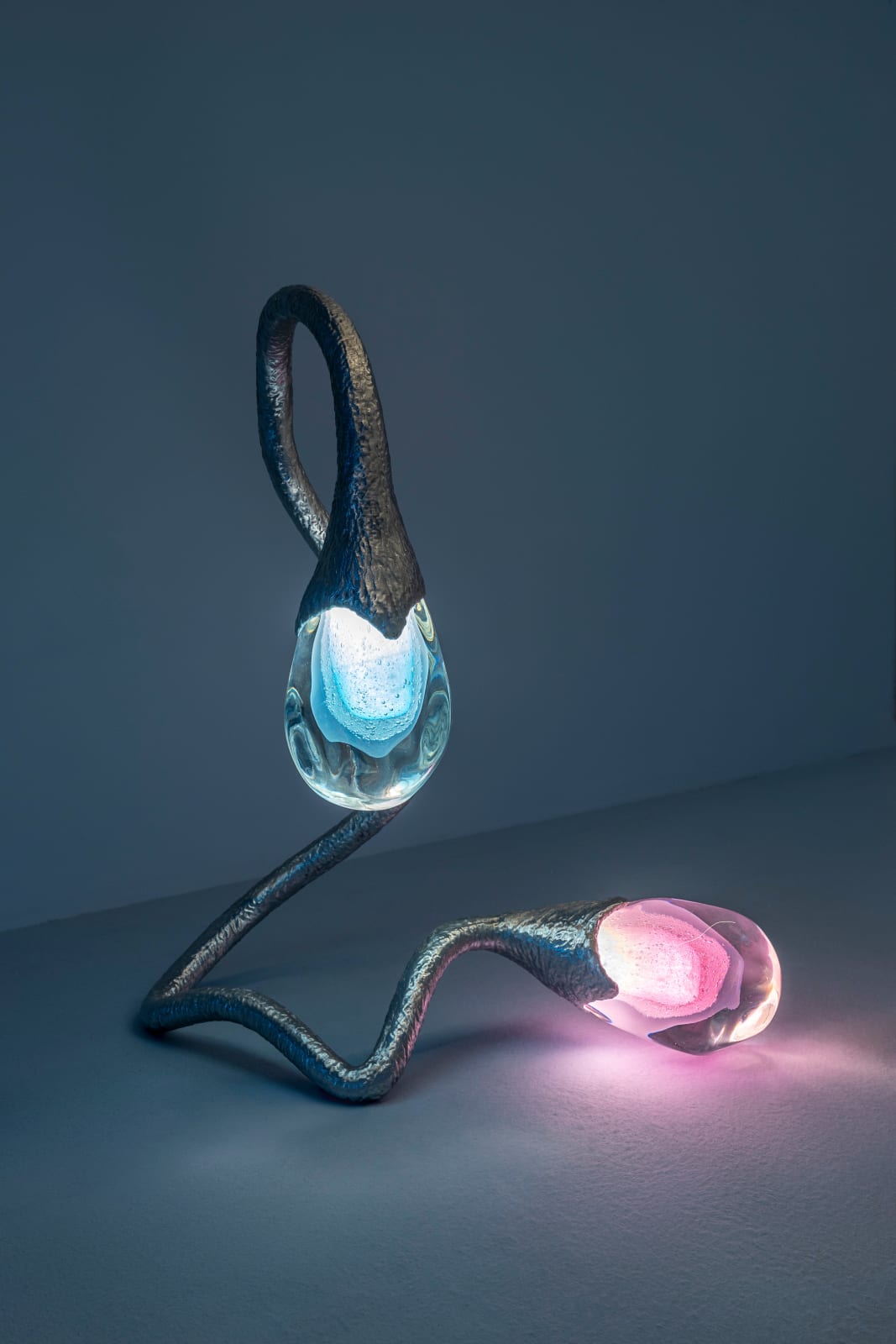 Irene Cattaneo, Like Two Drops of Water , 2024