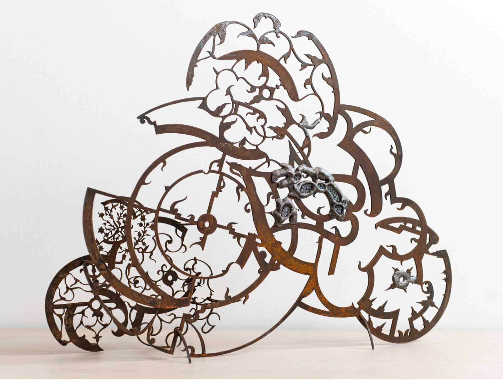 Nicola Ghirardelli, La distorsione di Mercatore I, 2023