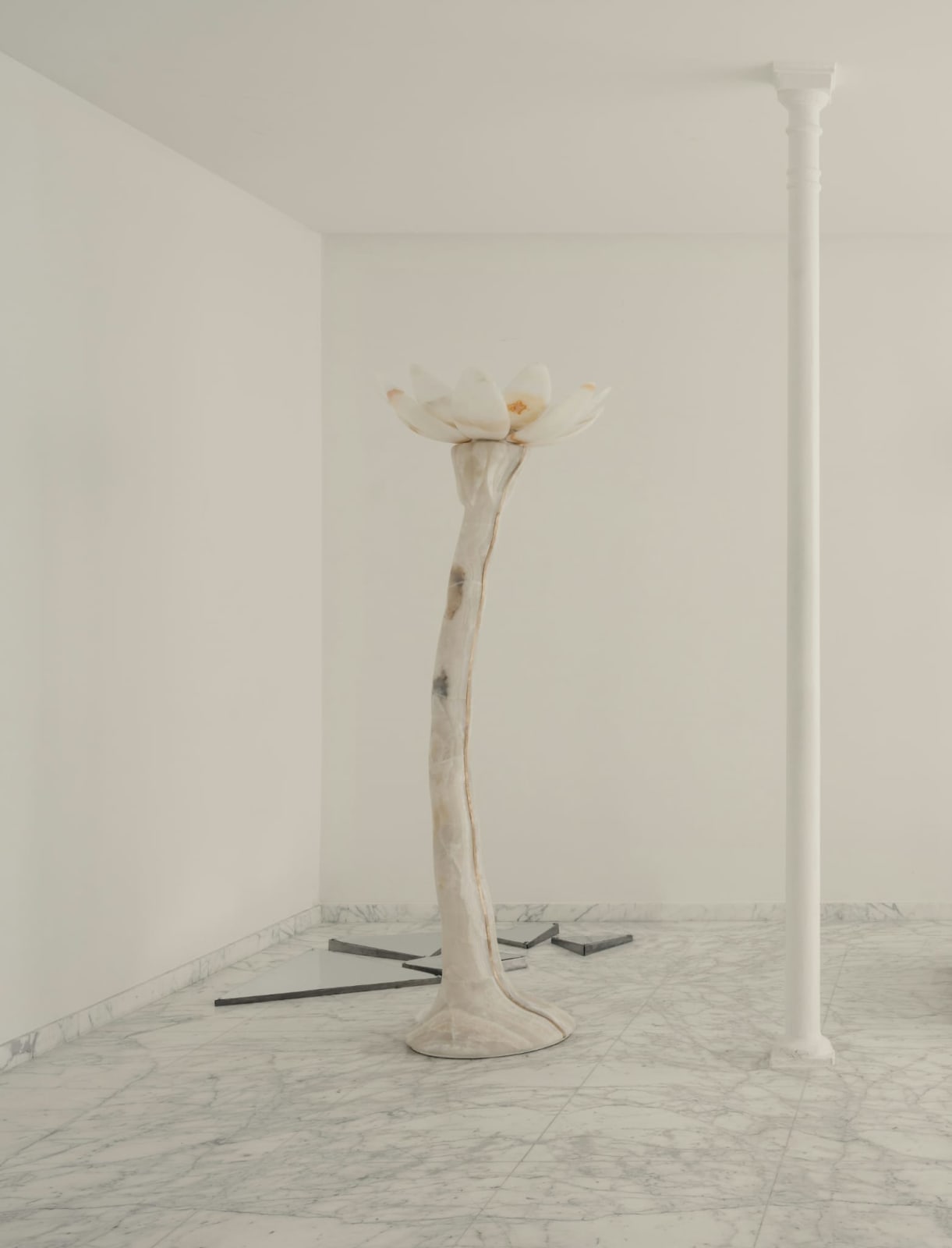 Irene Cattaneo, Poison lumineux / Radiant Poison, 2025