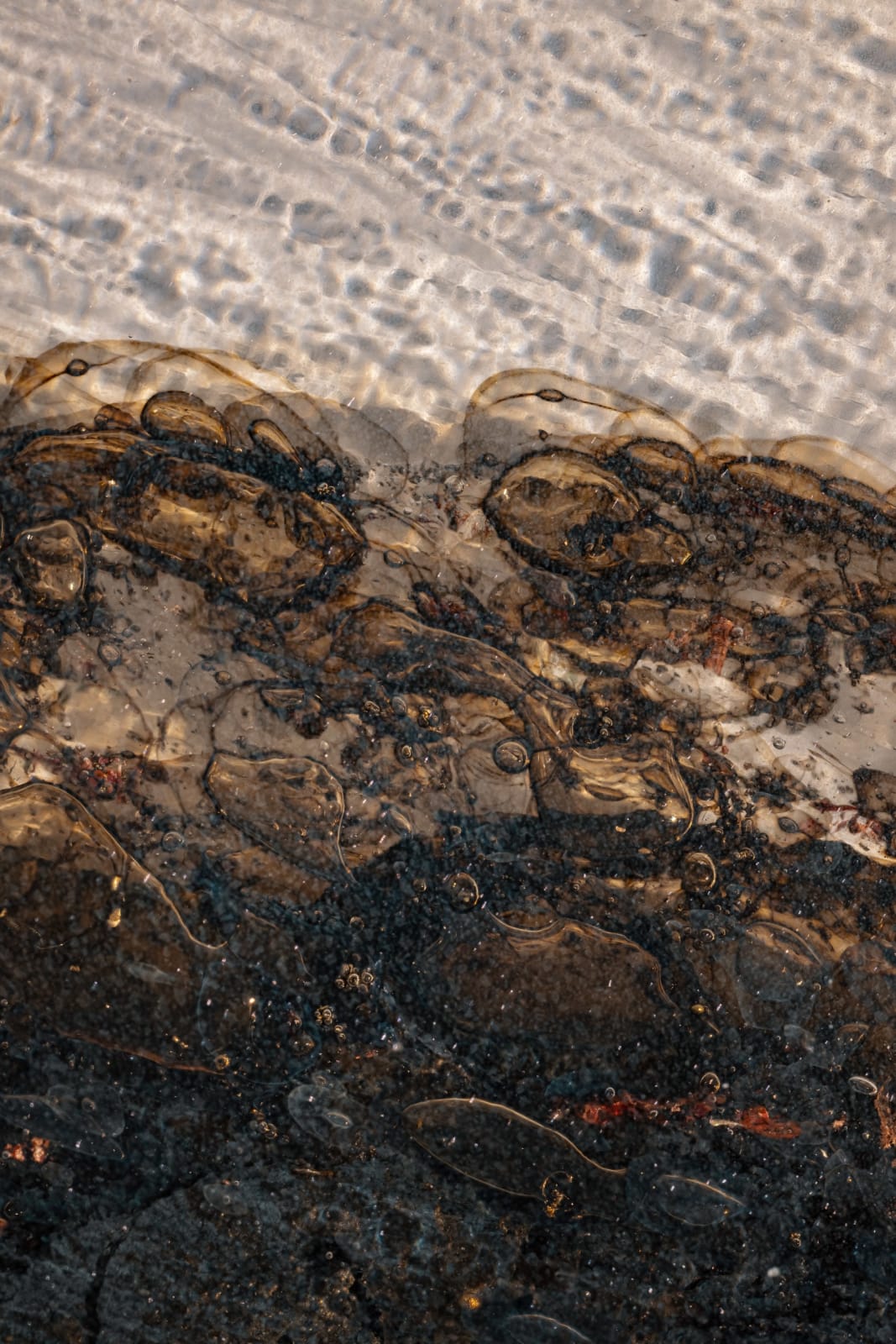 Irene Cattaneo, Sehnsucht, 2025