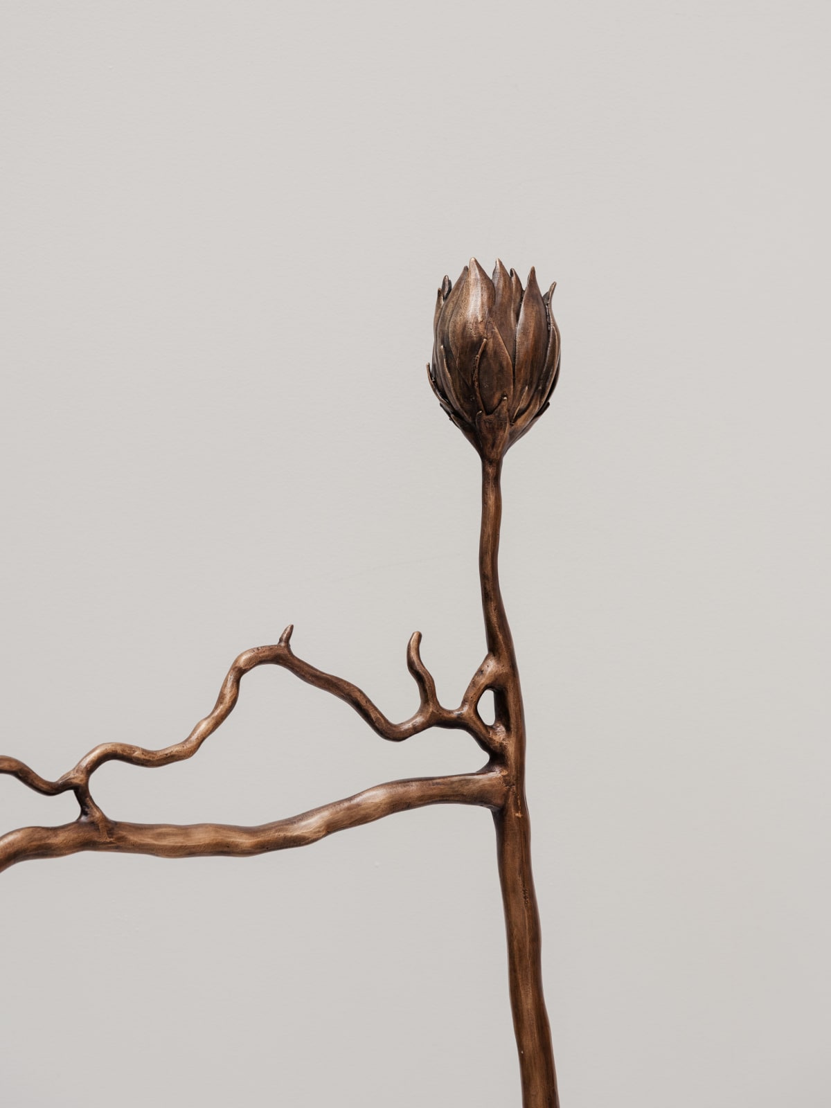 Irene Cattaneo, La reine de la nuite / Queen of the Night, 2025