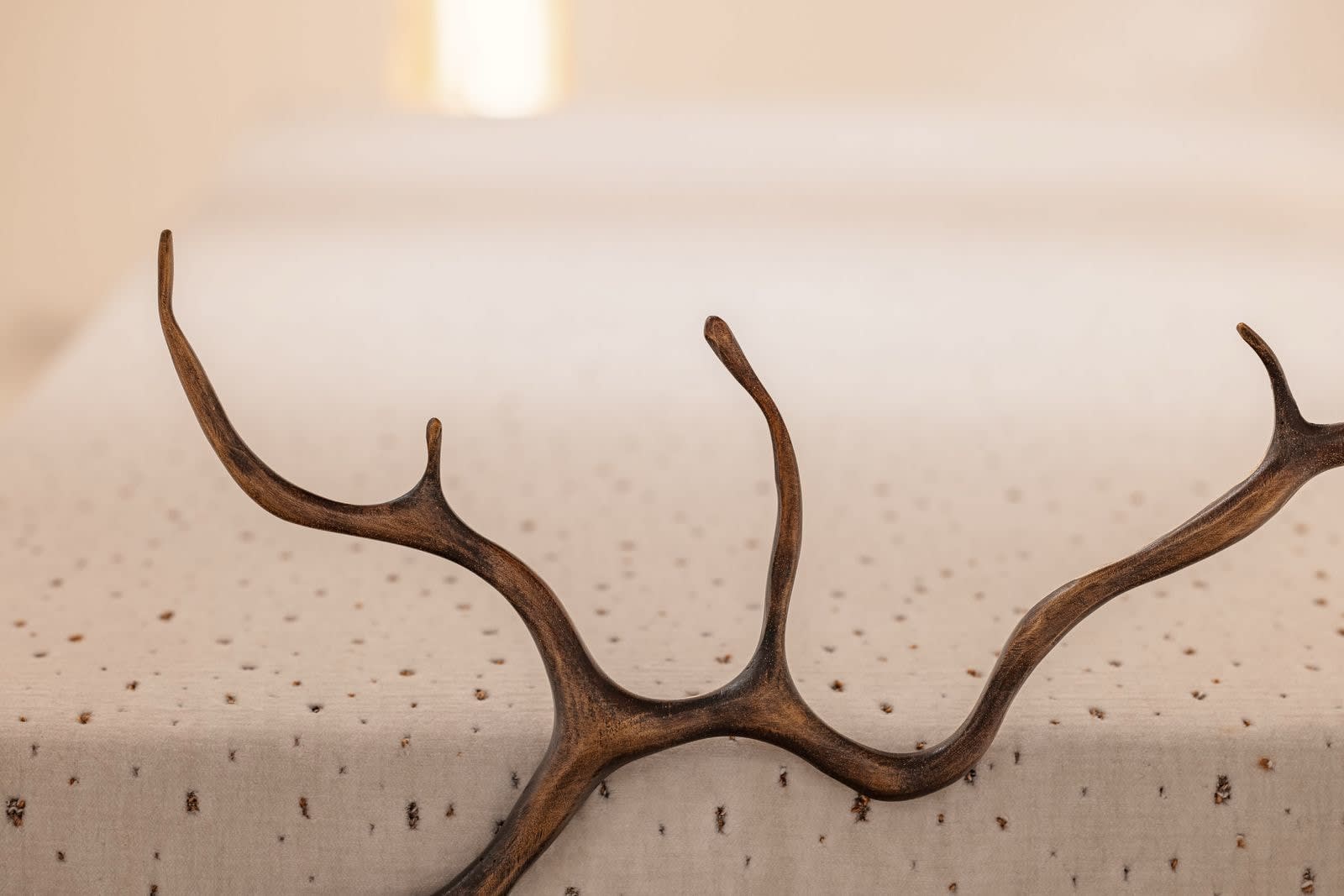 Irene Cattaneo, La reine de la nuite / Queen of the Night , 2025