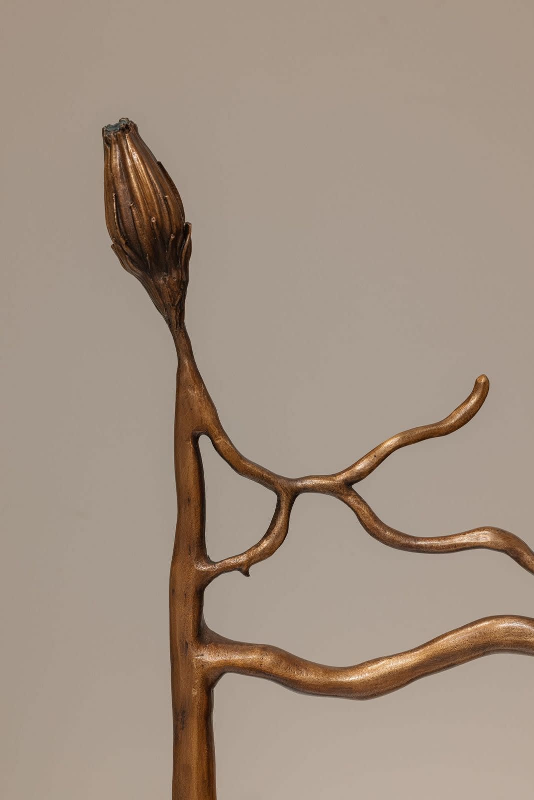 Irene Cattaneo, La reine de la nuite / Queen of the Night, 2025