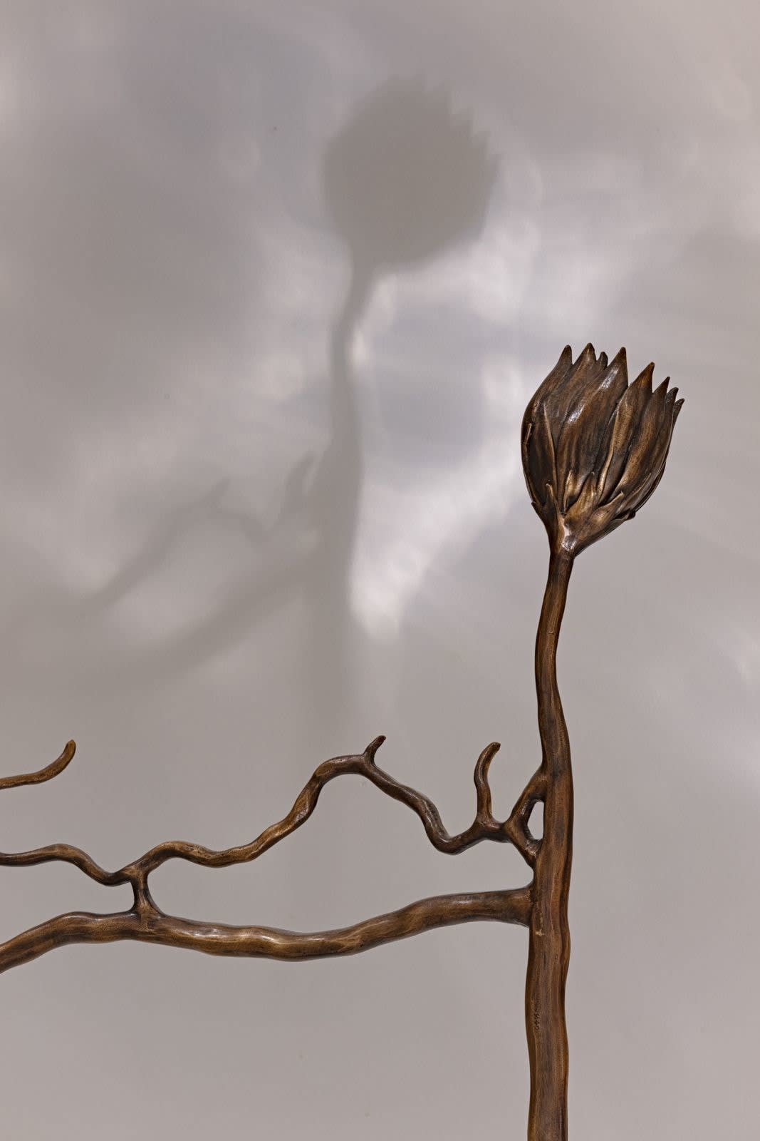 Irene Cattaneo, La reine de la nuite / Queen of the Night, 2025