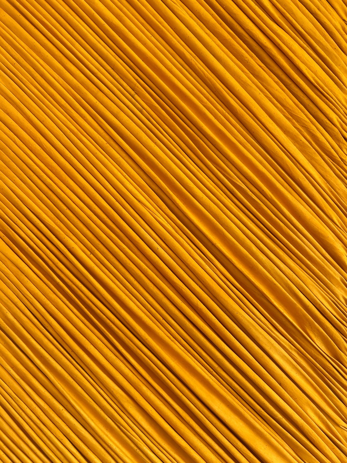 Alexandre Philippe Franck, LES RAYONS III, 2025