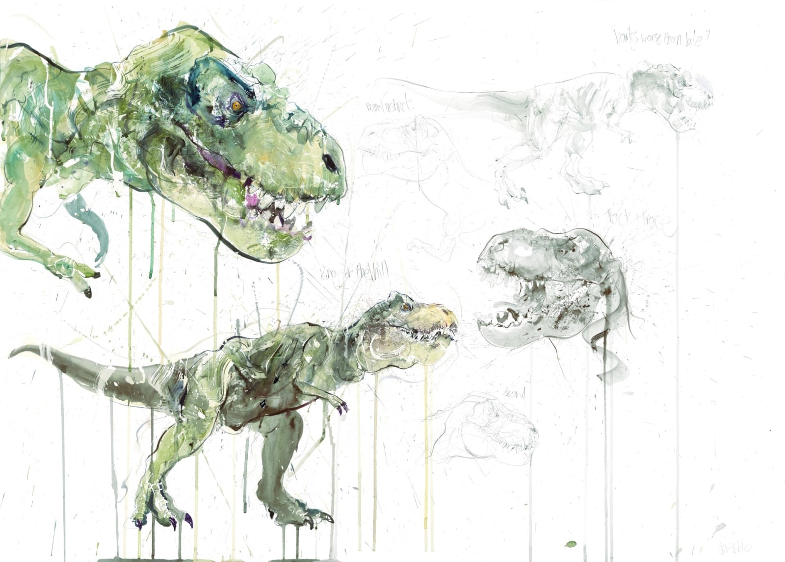 Dave White, T Rex Study
