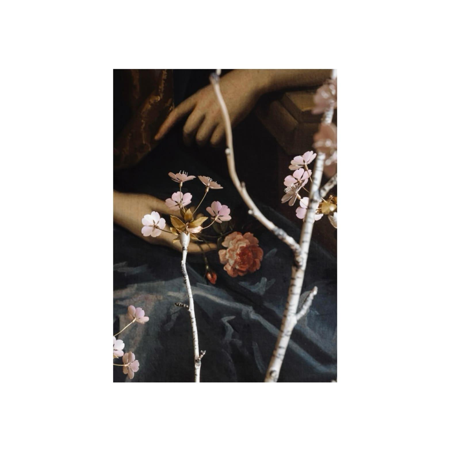Christopher Thompson Royds, Cherry Branch