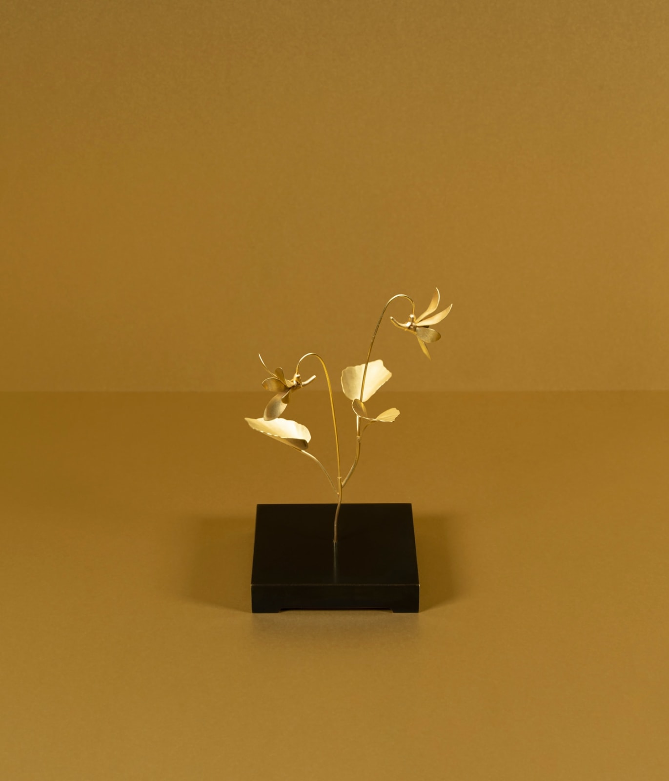 Christopher Thompson Royds, Violet Sculpture - drop earrings