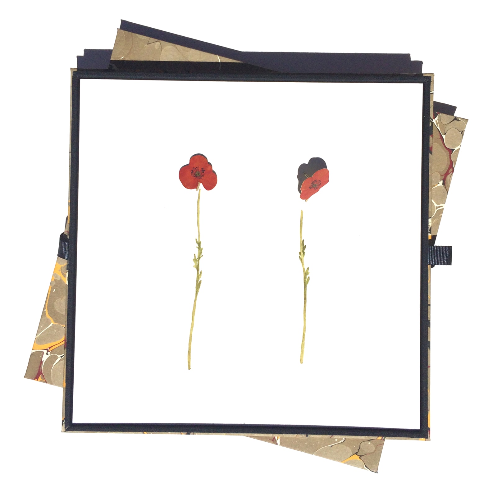 Christopher Thompson Royds, Poppy Studs, 2016