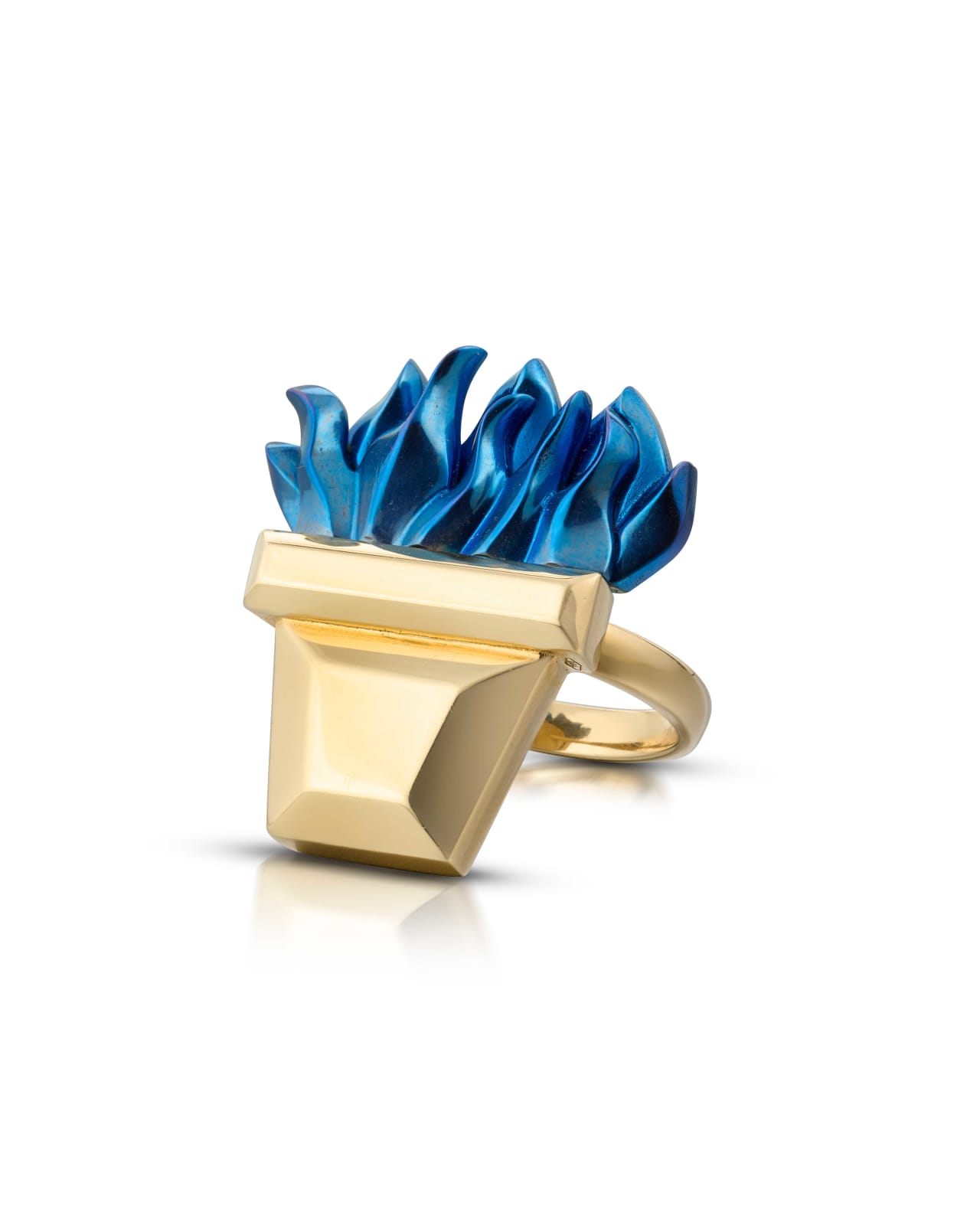 Cora Sheibani, Italian Pot with Difi Fern Ring