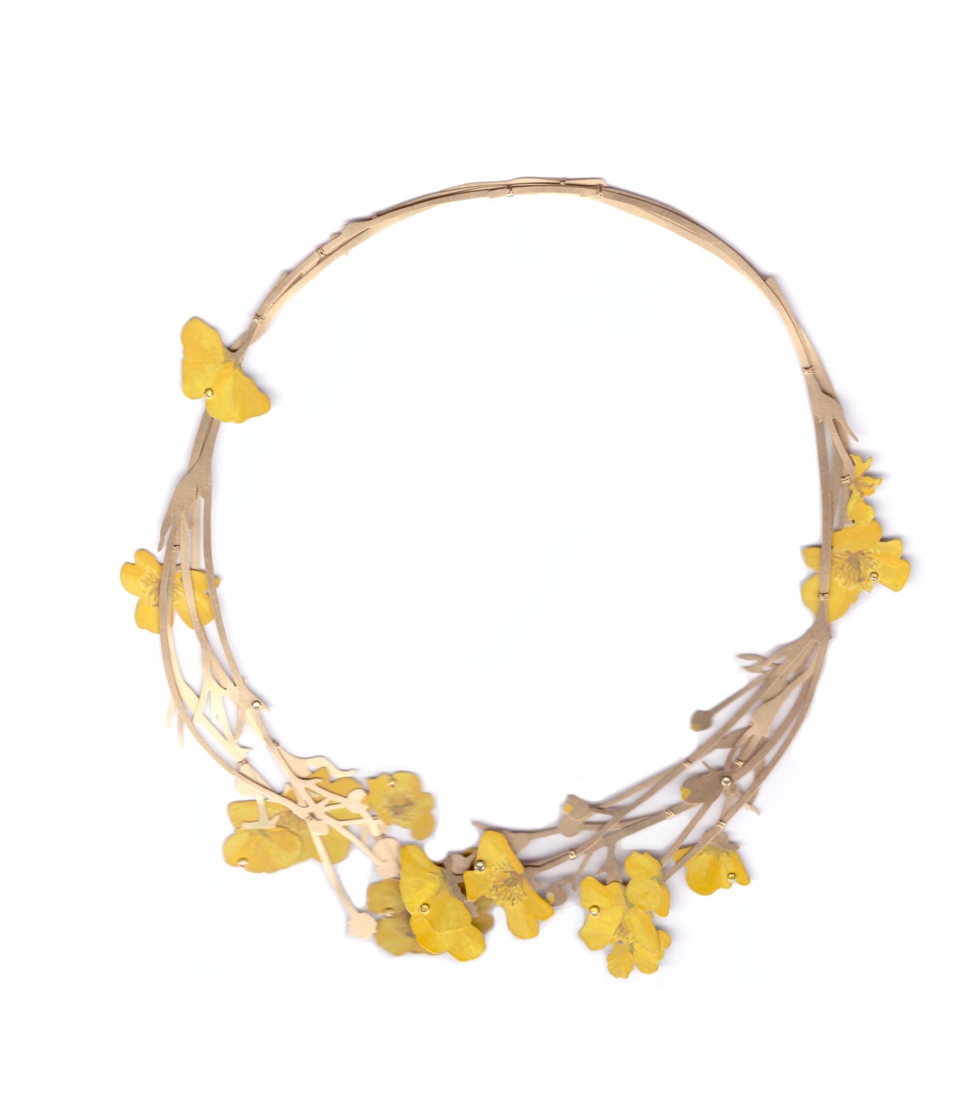 Christopher Thompson Royds, Natura Morta: Buttercups Necklace, 2017