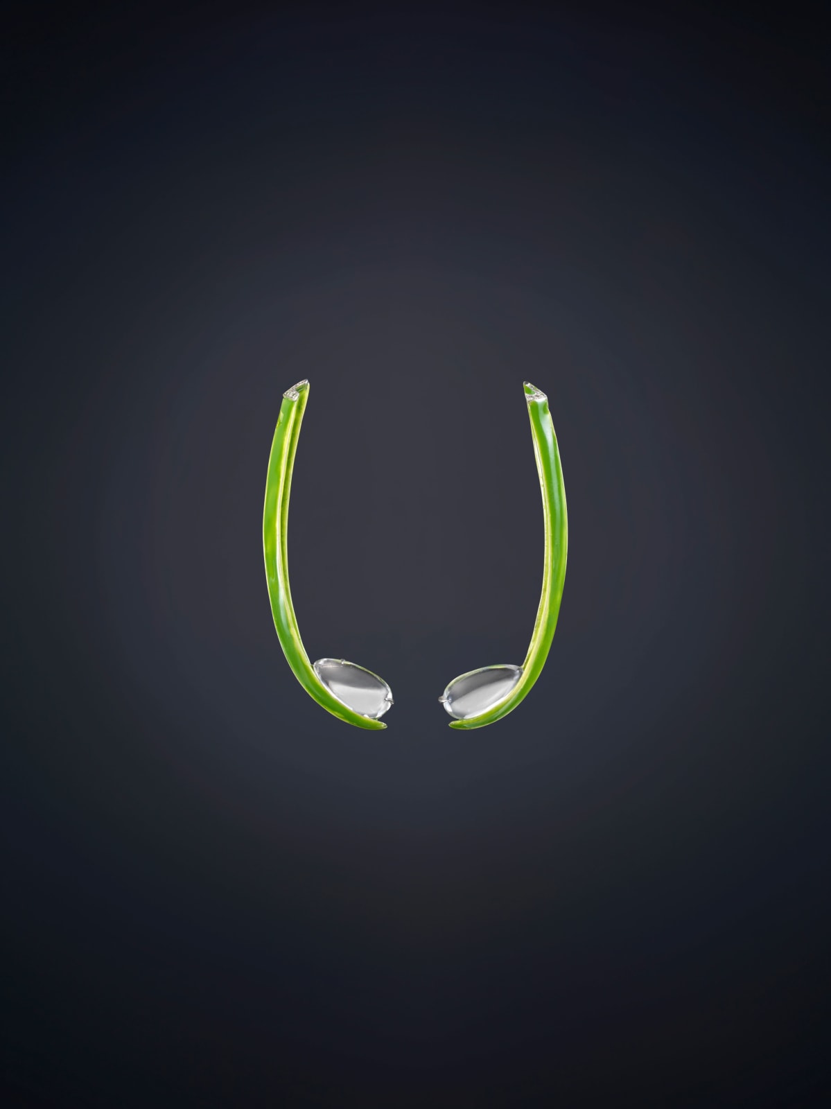 Luz Camino, Herbs Earrings