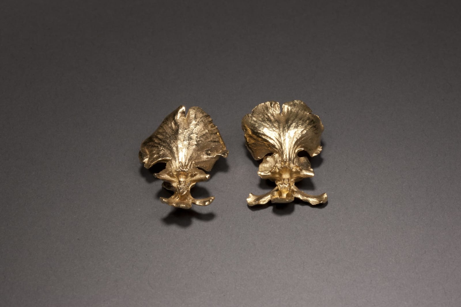 Marc Quinn, Orchid Earrings