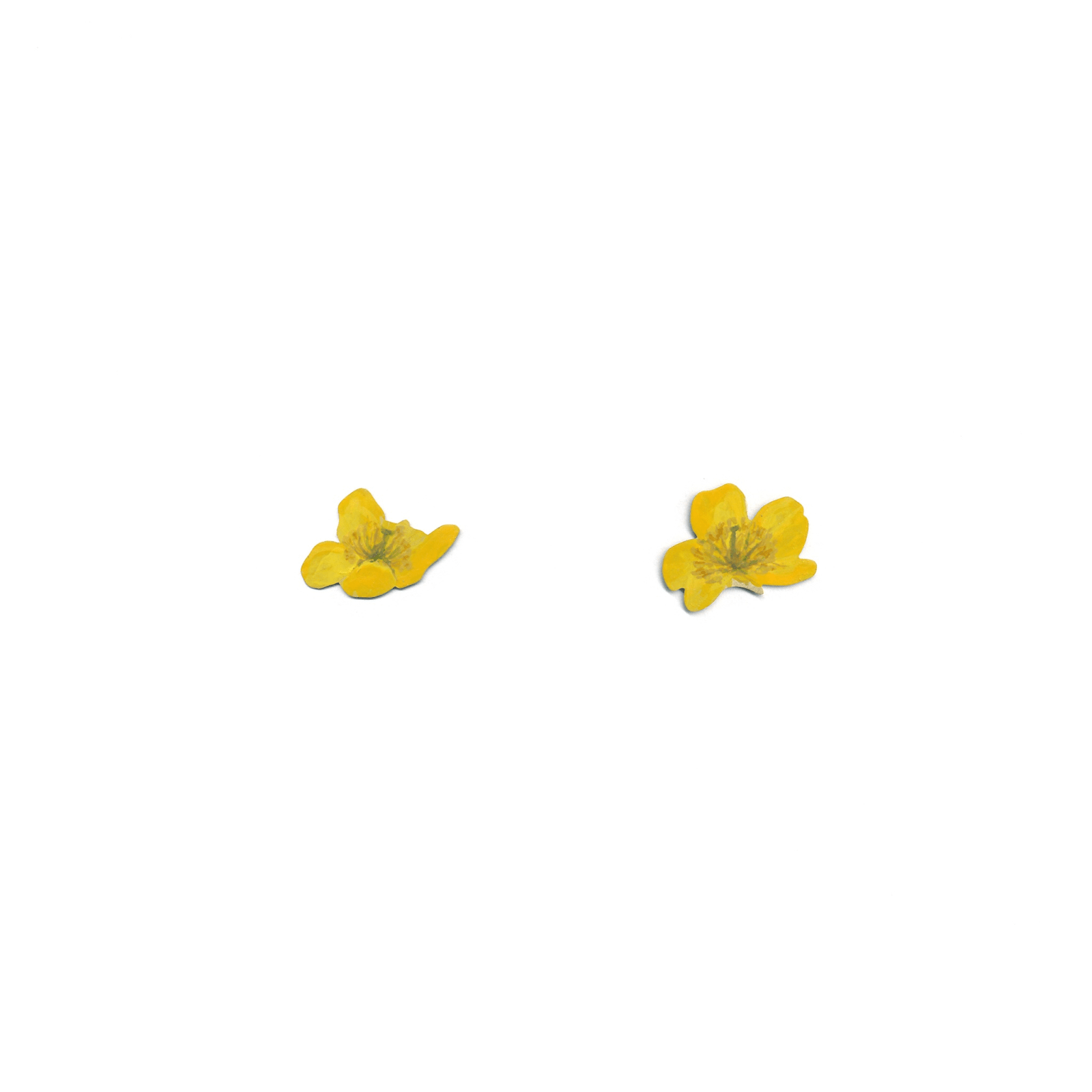 Christopher Thompson Royds, Buttercup Stud Earrings, 2016