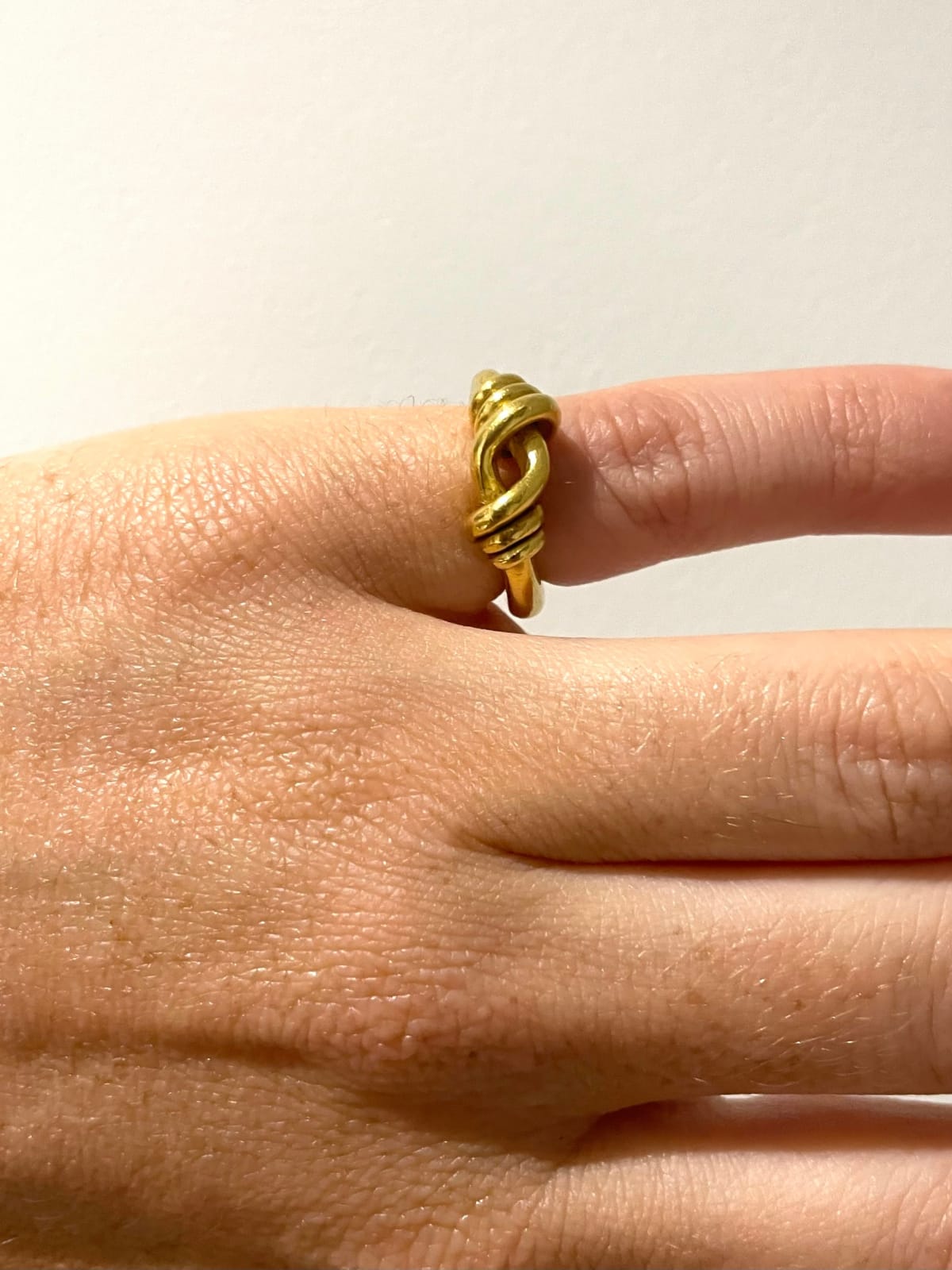 Not Vital, Ring, 2012