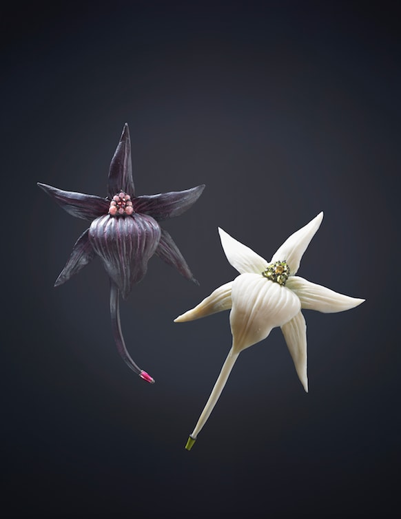 Luz Camino, Christmas Orchid brooch (white)