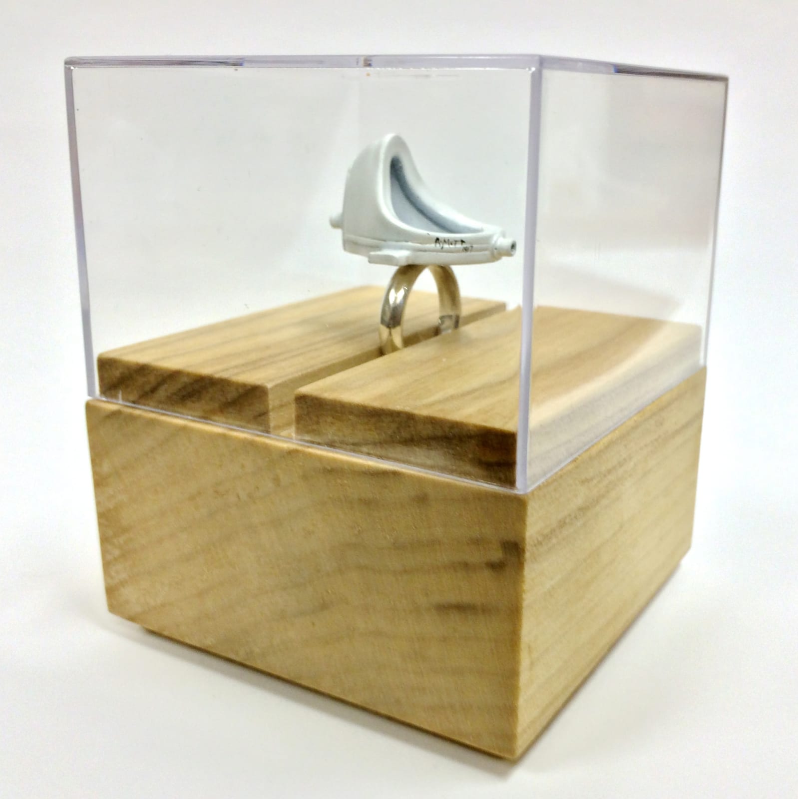 Mike Chavez-Dawson, Duchamp's Ring, 2013